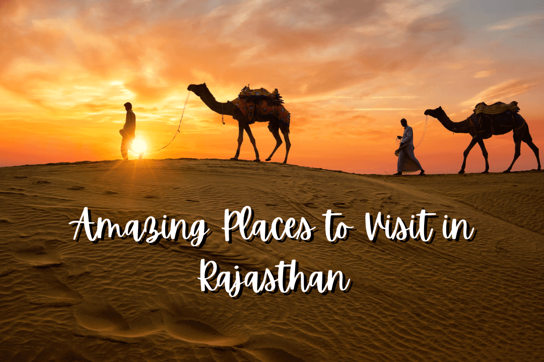 Photo of 7 Amazing Places to Visit in Rajasthan in May