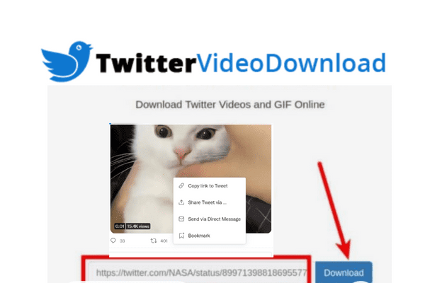 Photo of Twitter Video Downloader – Free Online Download of Twitter Videos