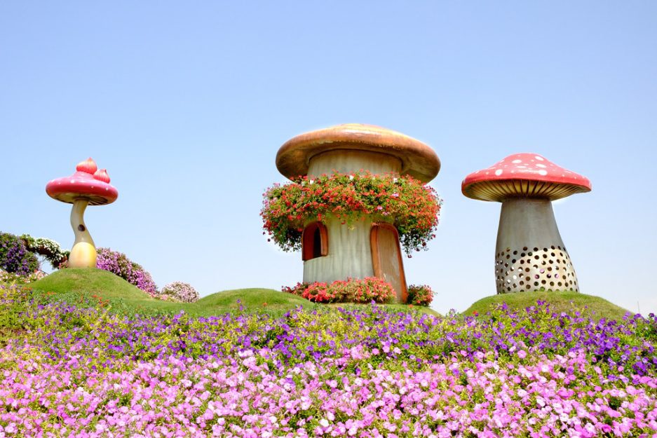 Dubai Miracle Garden