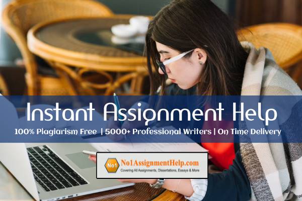 Photo of Instant Assignment Help – No1AssignmentHelp.Com