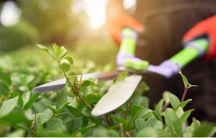 Photo of Landscaping Rhode Island: Transform Outdoor with Natural Beauty